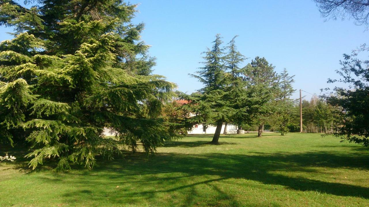 Bed and Breakfast Le Pontet Miramont-de-Guyenne Esterno foto